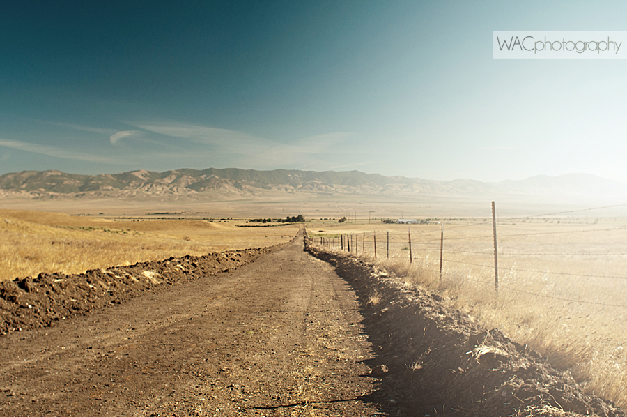 Dusty Road Near Hikertown, Pacific Crest Trail, California